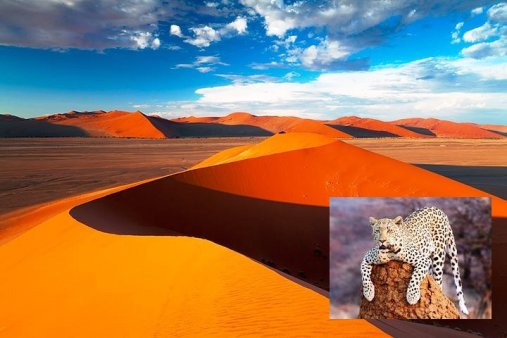 Classic Travel - Best of Namibia