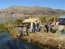 Classic Travel - Gallery - Titicaca & Bolivia