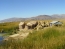 Classic Travel - Gallery - Titicaca & Boliwia