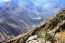 Classic Travel - Gallery - Arequipa & Colca Canyon