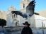 Classic Travel - Gallery - Arequipa & Colca Canyon