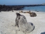 Classic Travel - Gallery - Galapagos