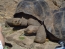 Classic Travel - Gallery - Galapagos