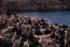 Classic Travel - Gallery - Galapagos