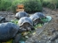 Classic Travel - Gallery - Galapagos