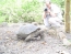 Classic Travel - Gallery - Galapagos