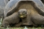 Classic Travel - Gallery - Galapagos