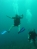 Classic Travel - Gallery - Belize Scuba