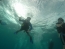 Classic Travel - Gallery - Belize Scuba