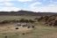 Classic Travel - Gallery - Mongolia & Pekin