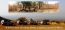 Classic Travel - Gallery - Mistyczna Etiopia