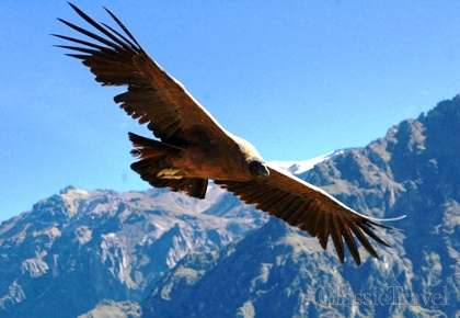 Classic Travel - Trip - Colca Classic 2 dni