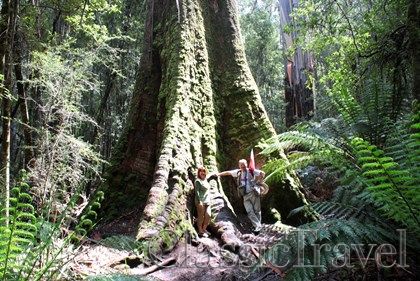Classic Travel - Trip - Australia & Tasmania