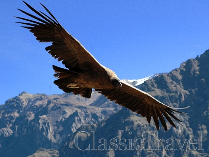 Classic Travel - Trip - PERU Wersja C