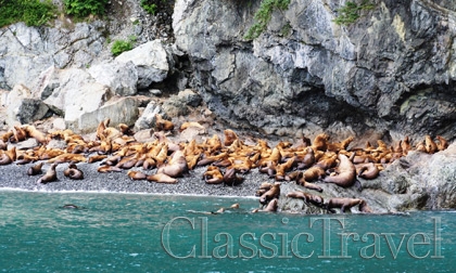 Classic Travel - Trip - Alaska