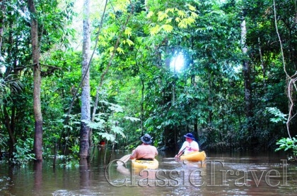 Classic Travel - Trip - Amazonia