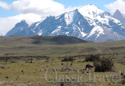 Classic Travel - Trip - Trekking Patagonia