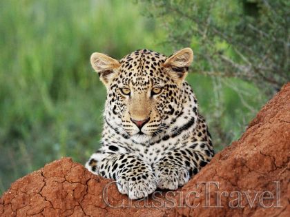 Classic Travel - Trip - Best of Namibia