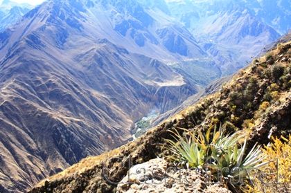 Classic Travel - Trip - Best of Peru & Boliwia